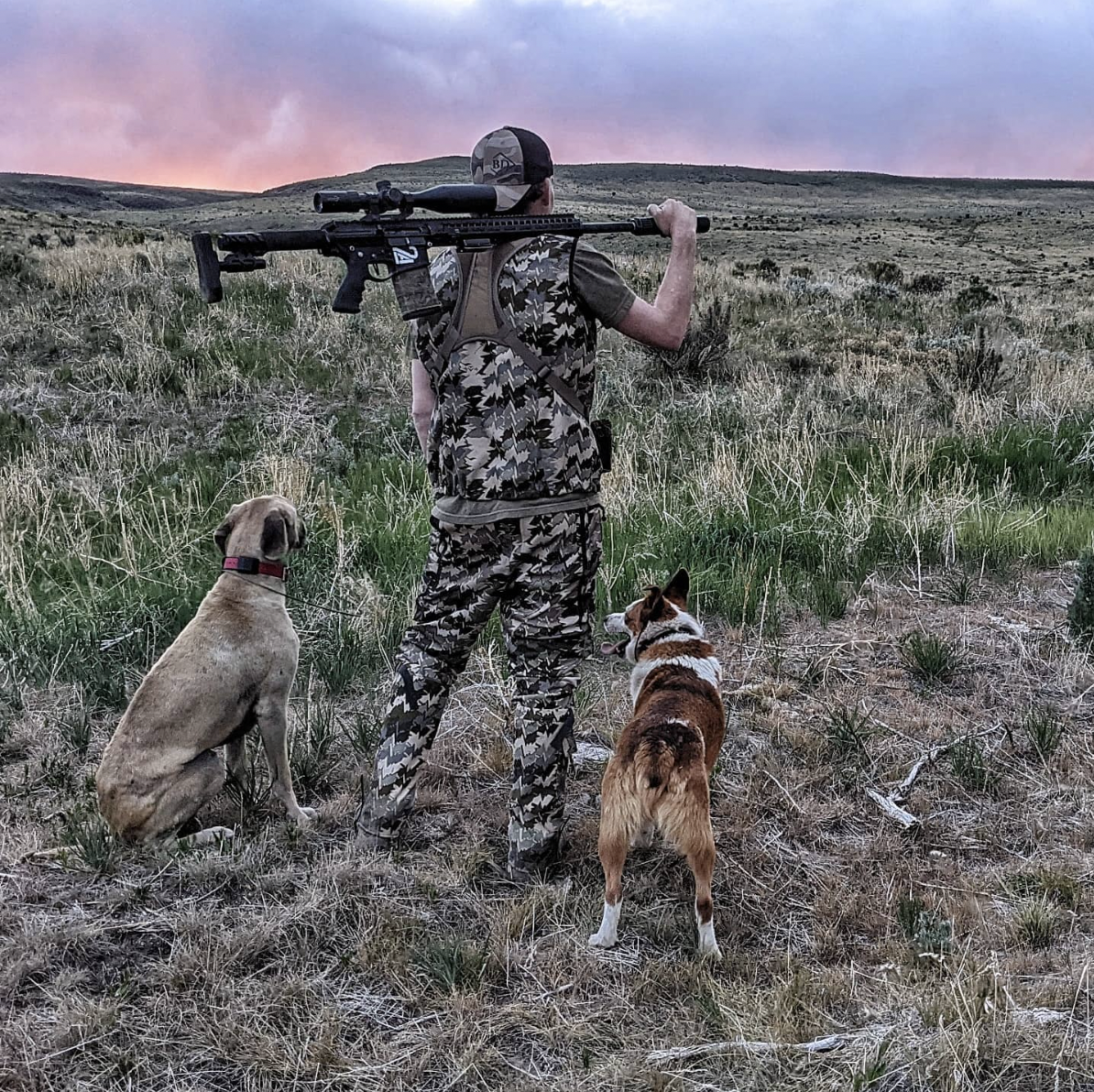 coyote hunting dogs 2