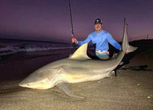 Florida Surf Fisherman Catches and Releases Potential State-Record Bull Shark