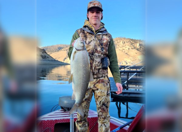 Washington Walleye Fisherman Catches State-Record Lake Whitefish