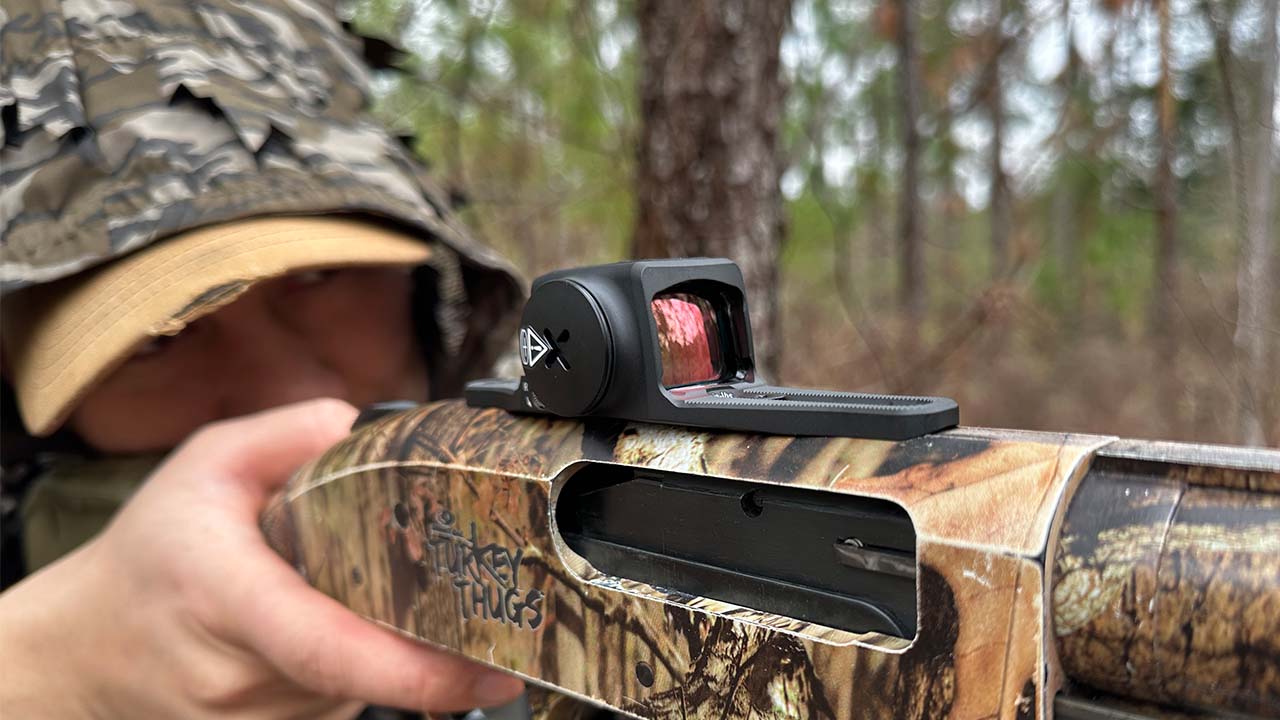 Testing the best turkey red dots in the field