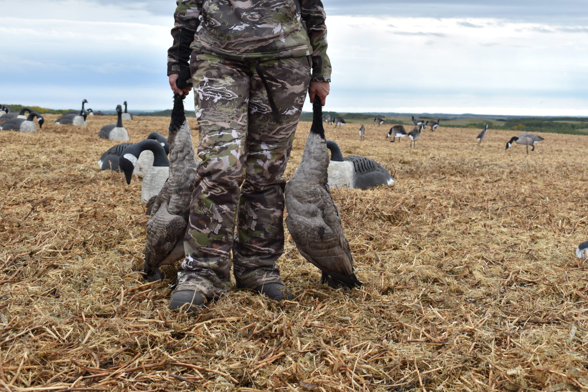 Manitoba Bird Hunting Restrictions to Limit U.S. Hunters
