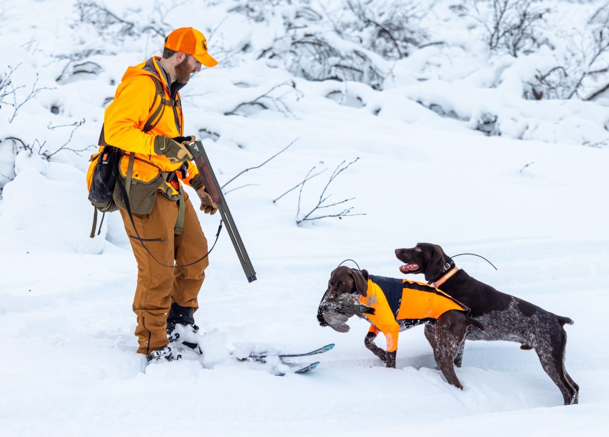 Meet the Hunters Who Are Skiing the Backcountry with Bird Dogs