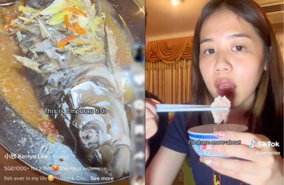 most expensive fish to eat