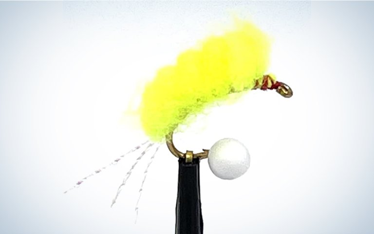 The Feeder Creek Sucker Spawn Lure is one of the best flies for carp.