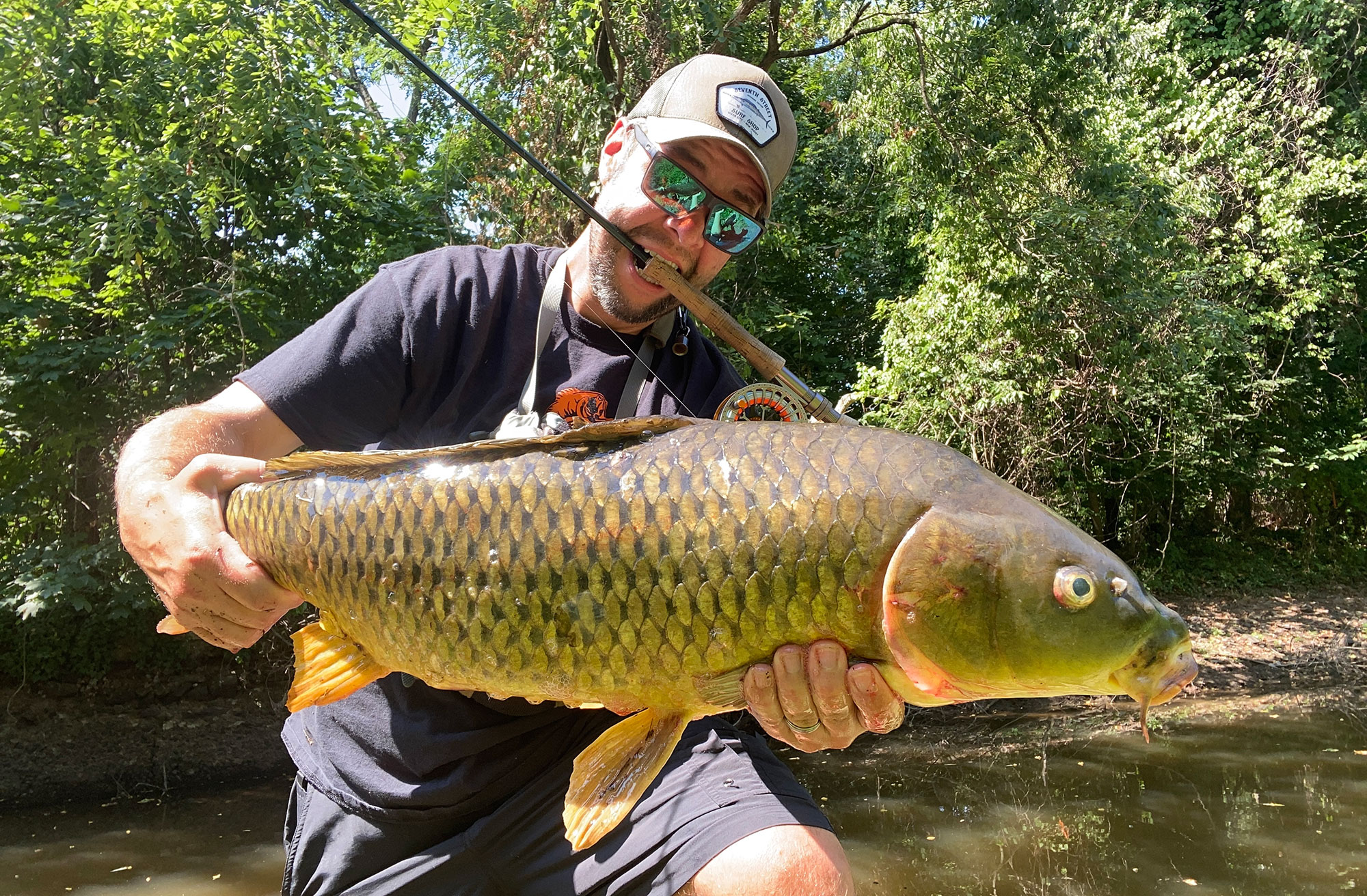 fly fishing for carp