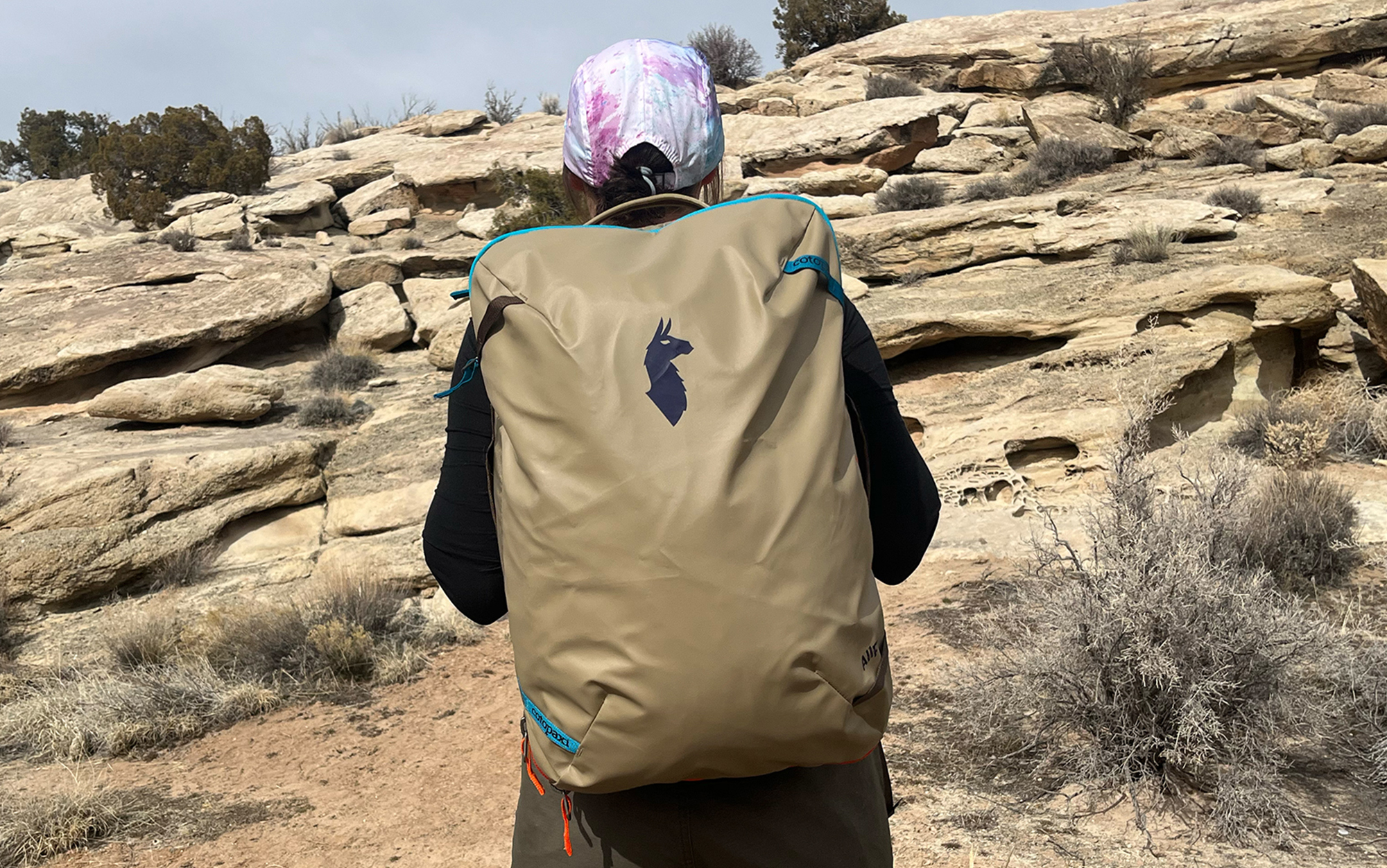 The desert color option is spot on for this best travel backpack