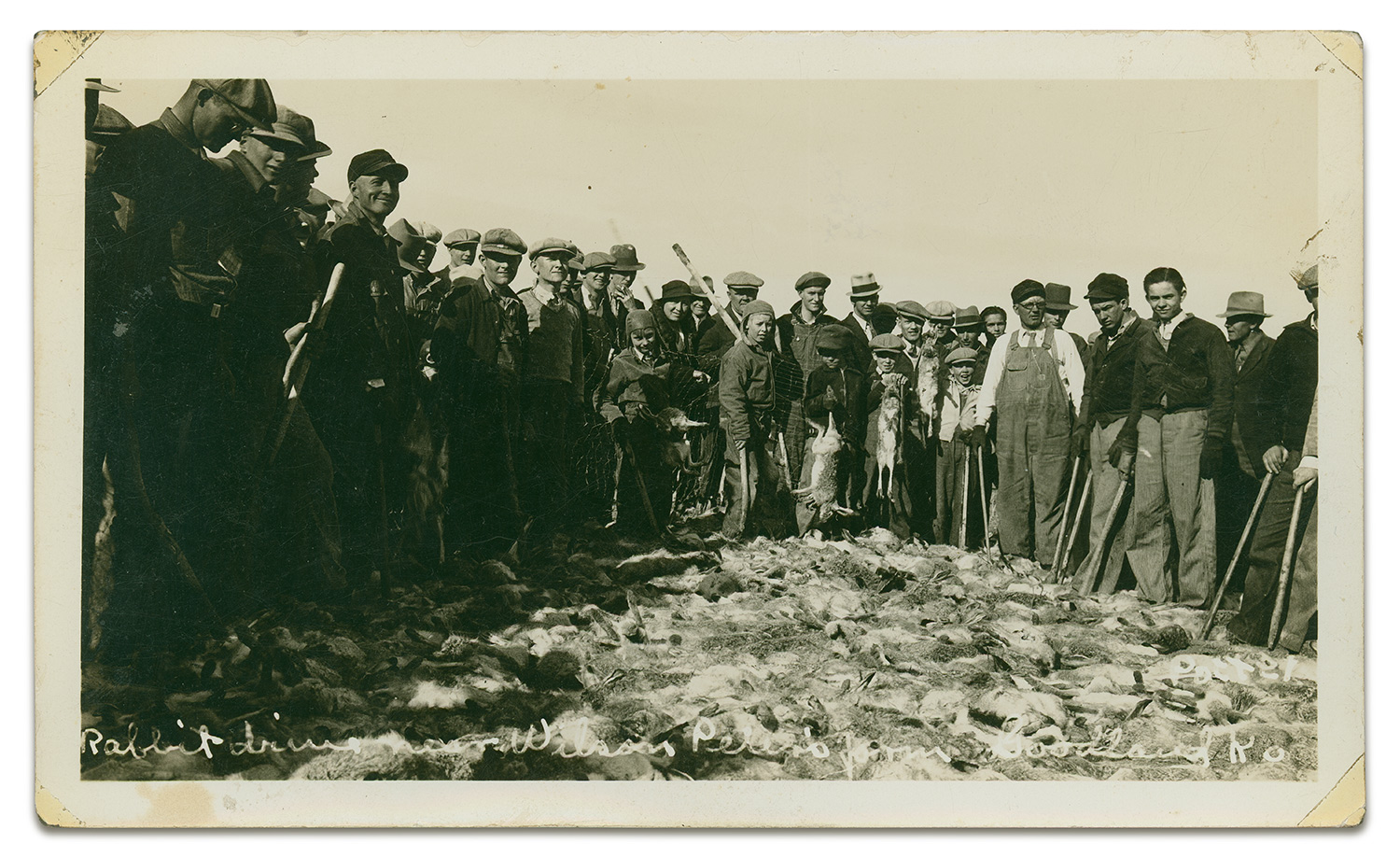 Men gather around dead jackrabbits in a corral.