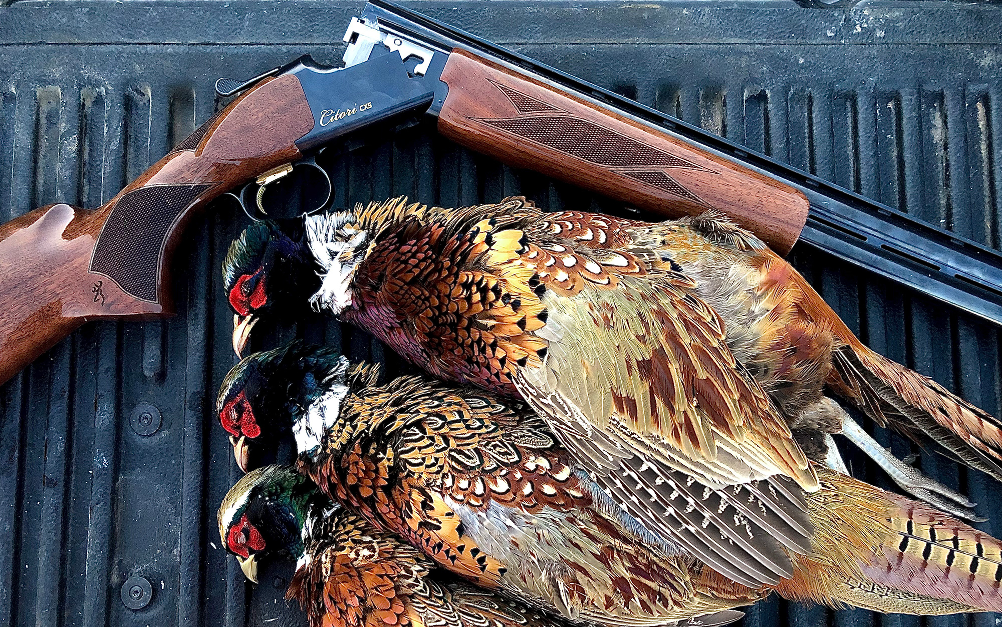 The Browning Citori CXS sits on tailgate with roosters.