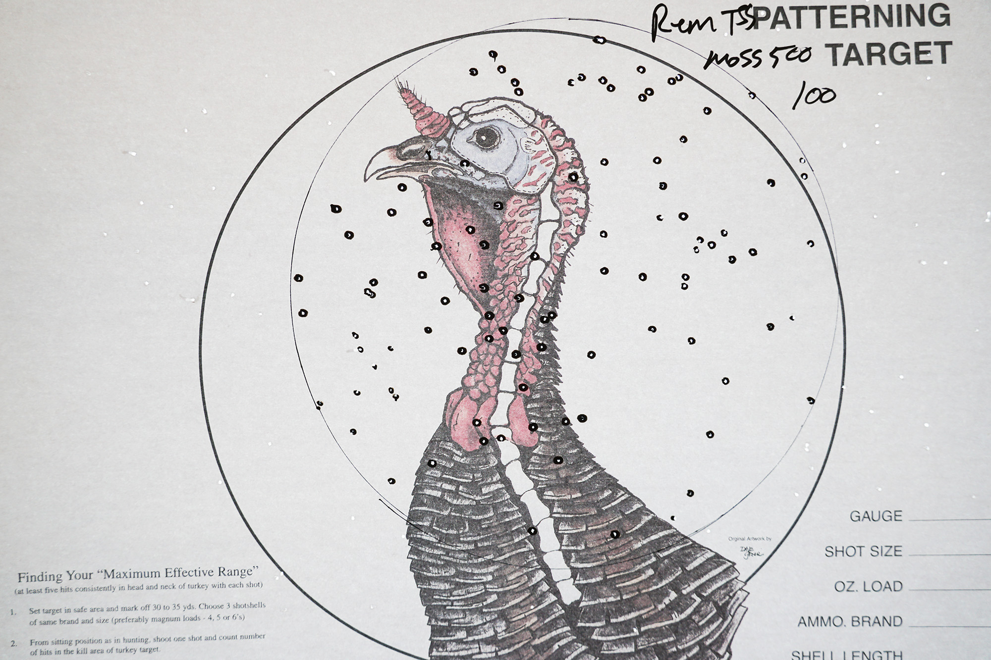 Remington TSS turkey load pattern