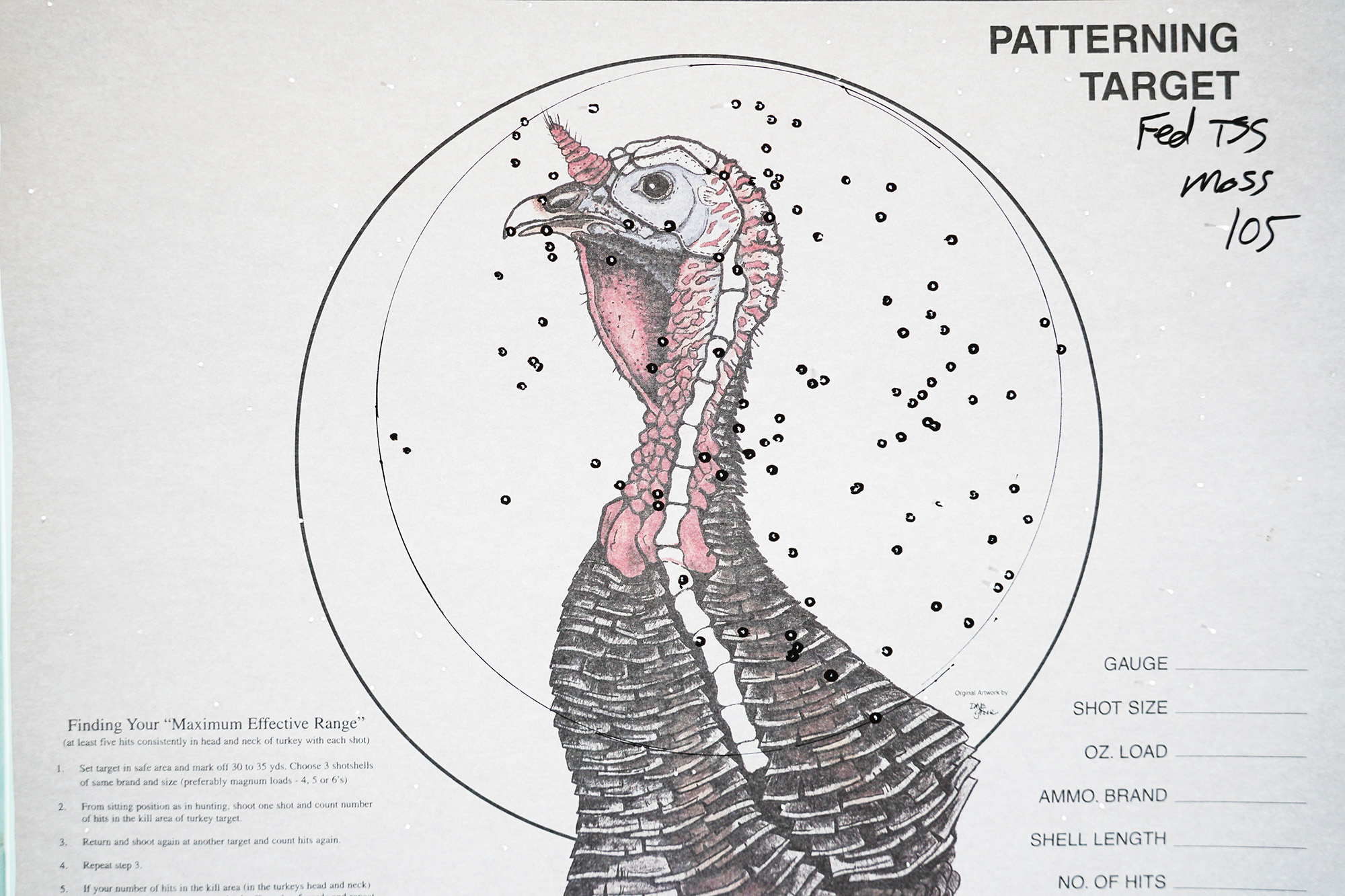 Federal 410 turkey pattern