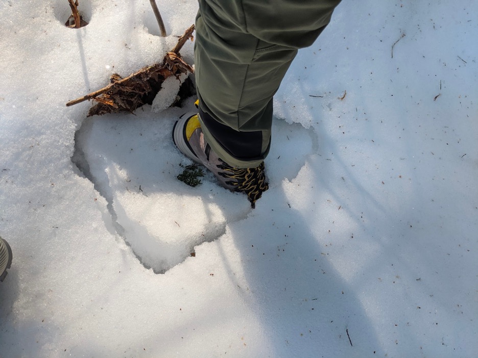 The flexible upper of the Danner Arctic 600 provided plenty of protection when postholing