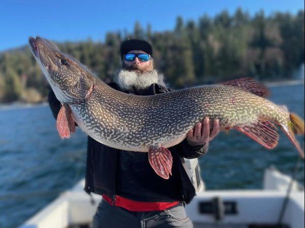 Idaho Fisherman Catches New State-Record Pike