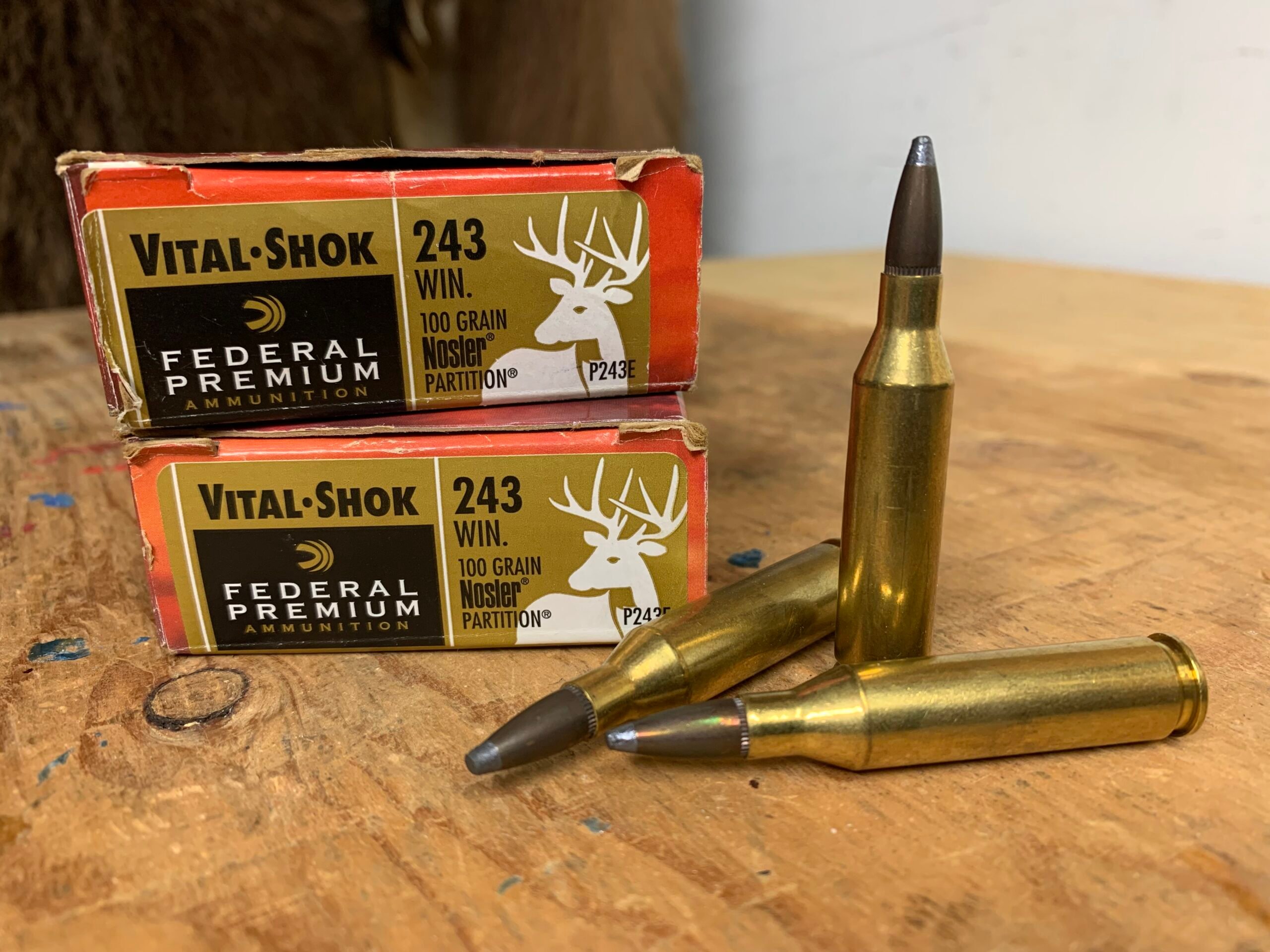 243 best bear cartridges