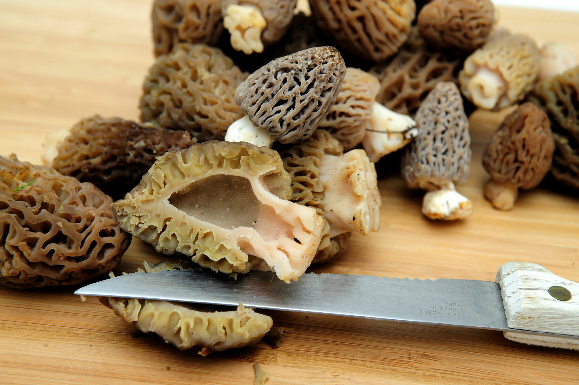 The Best Morel Mushroom Recipes Outdoor Life
