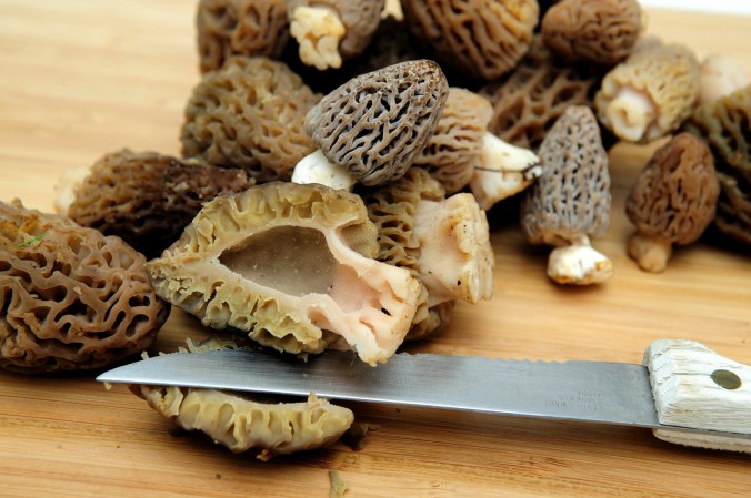 A knife beside a morel cut in half in preparation for cooking morel mushroom recipes.