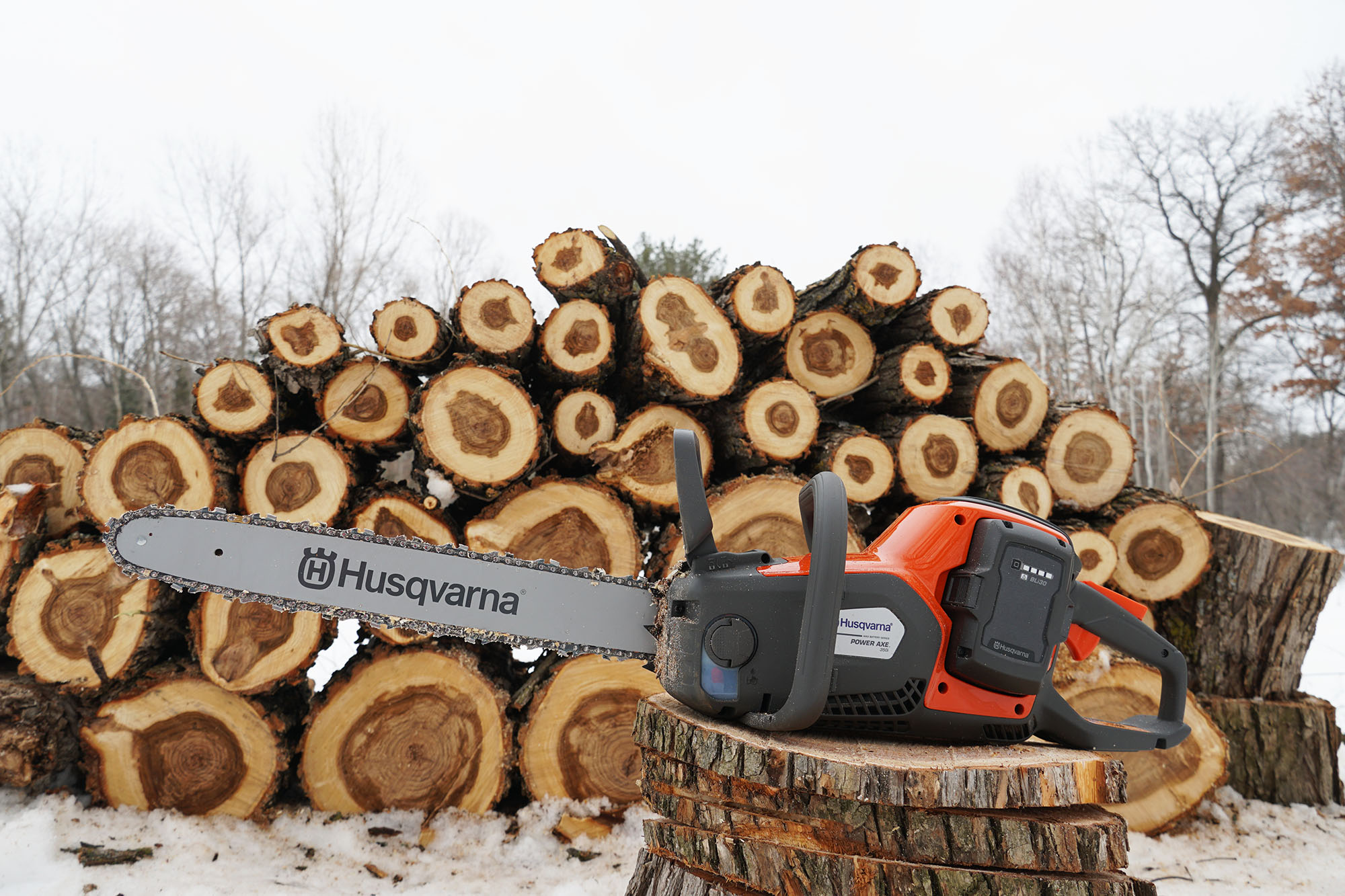 Best battery chainsaws of 2023 outdoor life