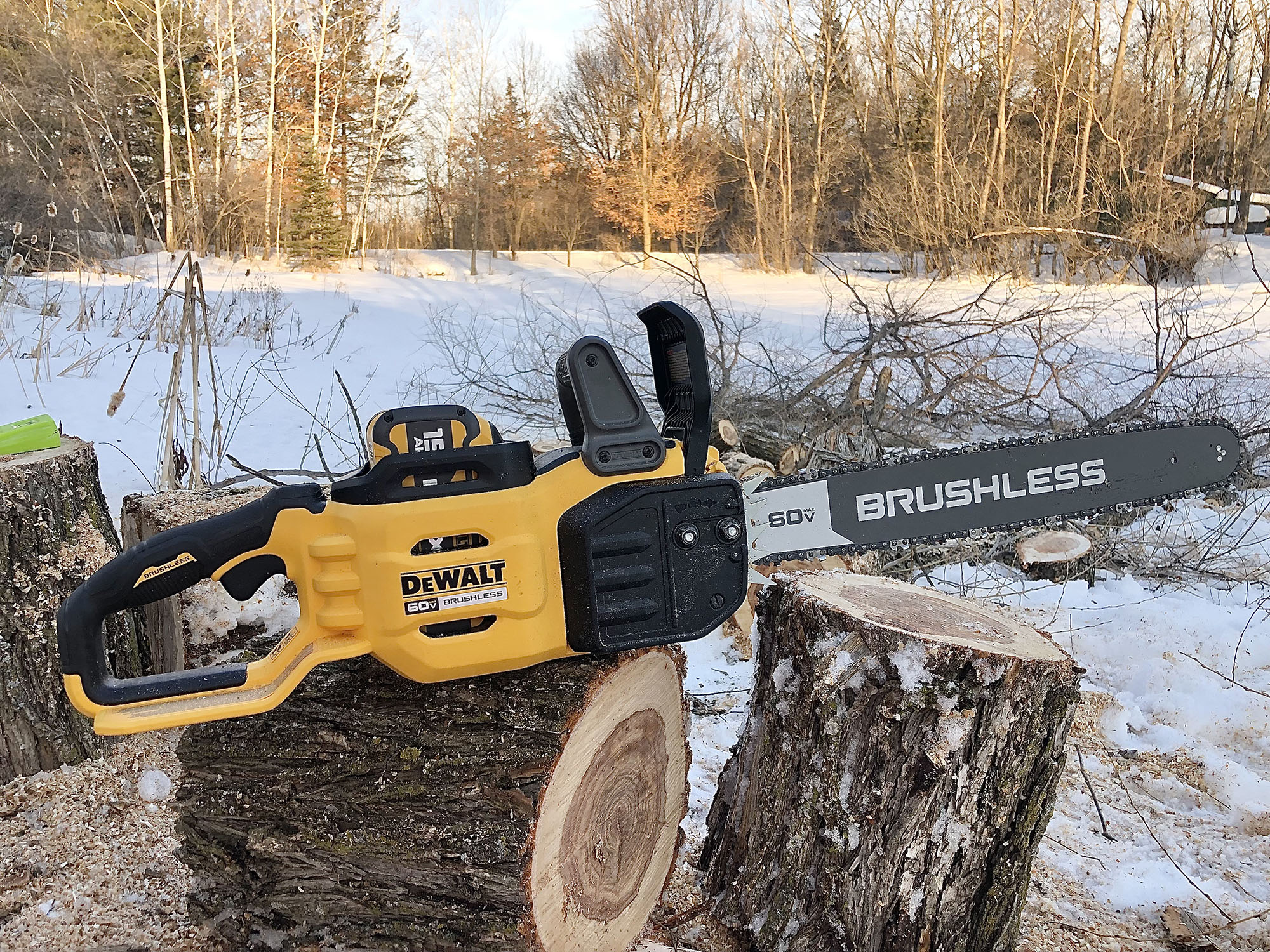 Best Battery Chainsaws of 2023 Outdoor Life