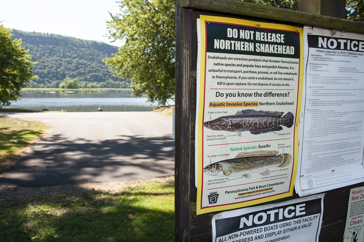 fishing notice board in front of lake