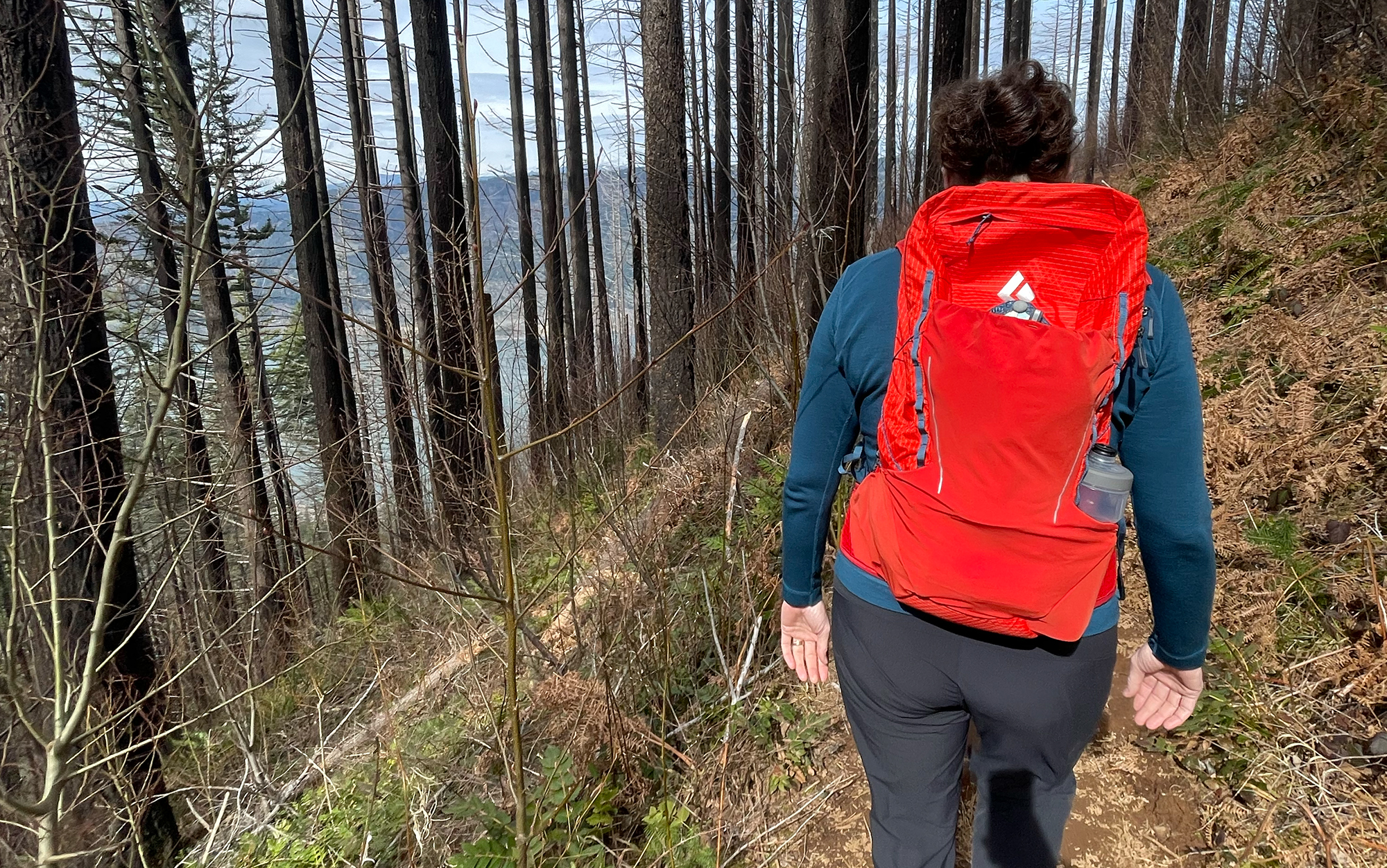 Hiker wears Pursuit through the woods.
