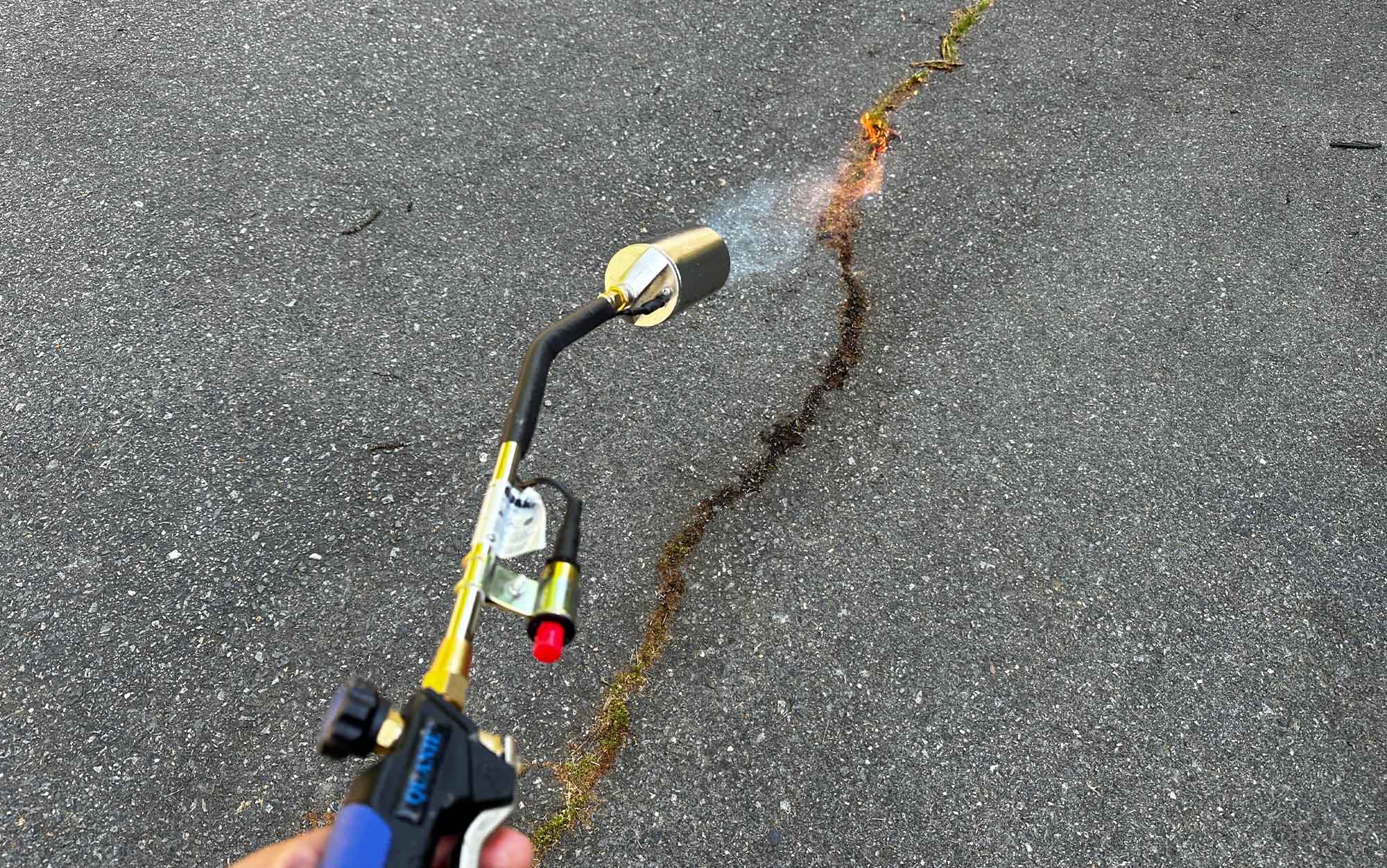 The Quanie 1,200,000 BTU Propane weed Torch burns weeds in a blacktop crack.