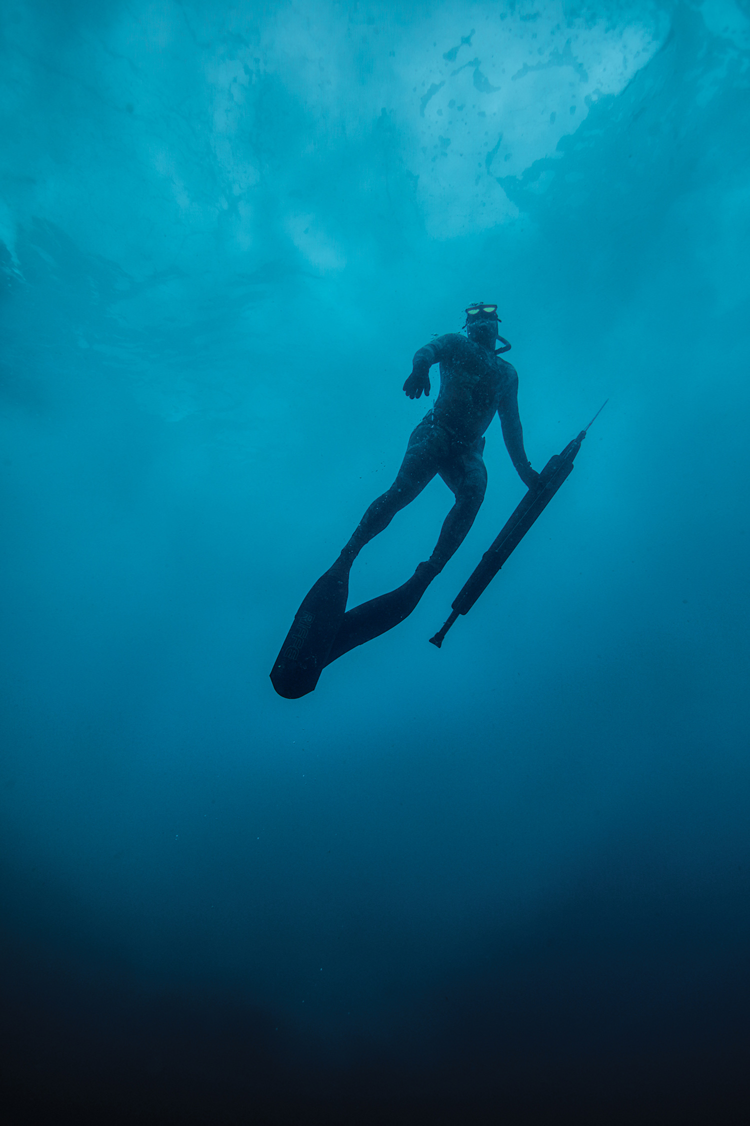 view of spearfisherman from below