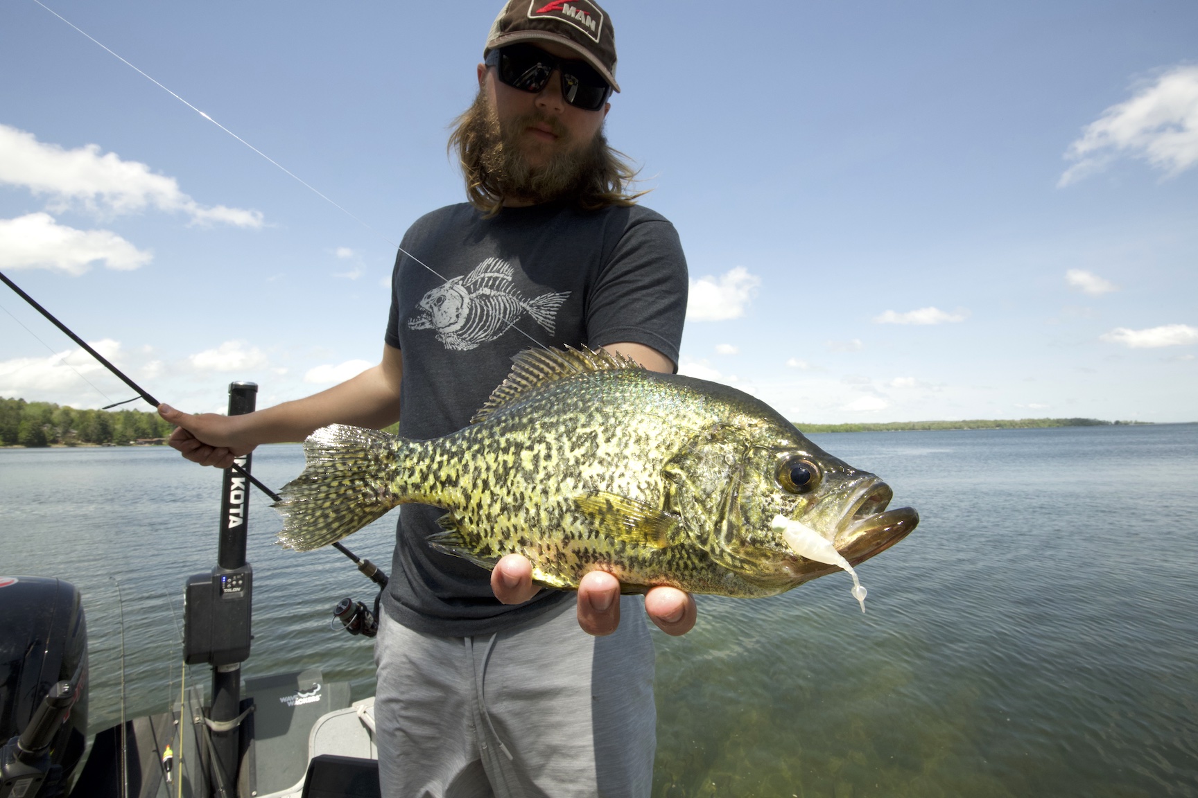 How to Catch Big Bluegill on Crappie Nibbles - Beginner Level