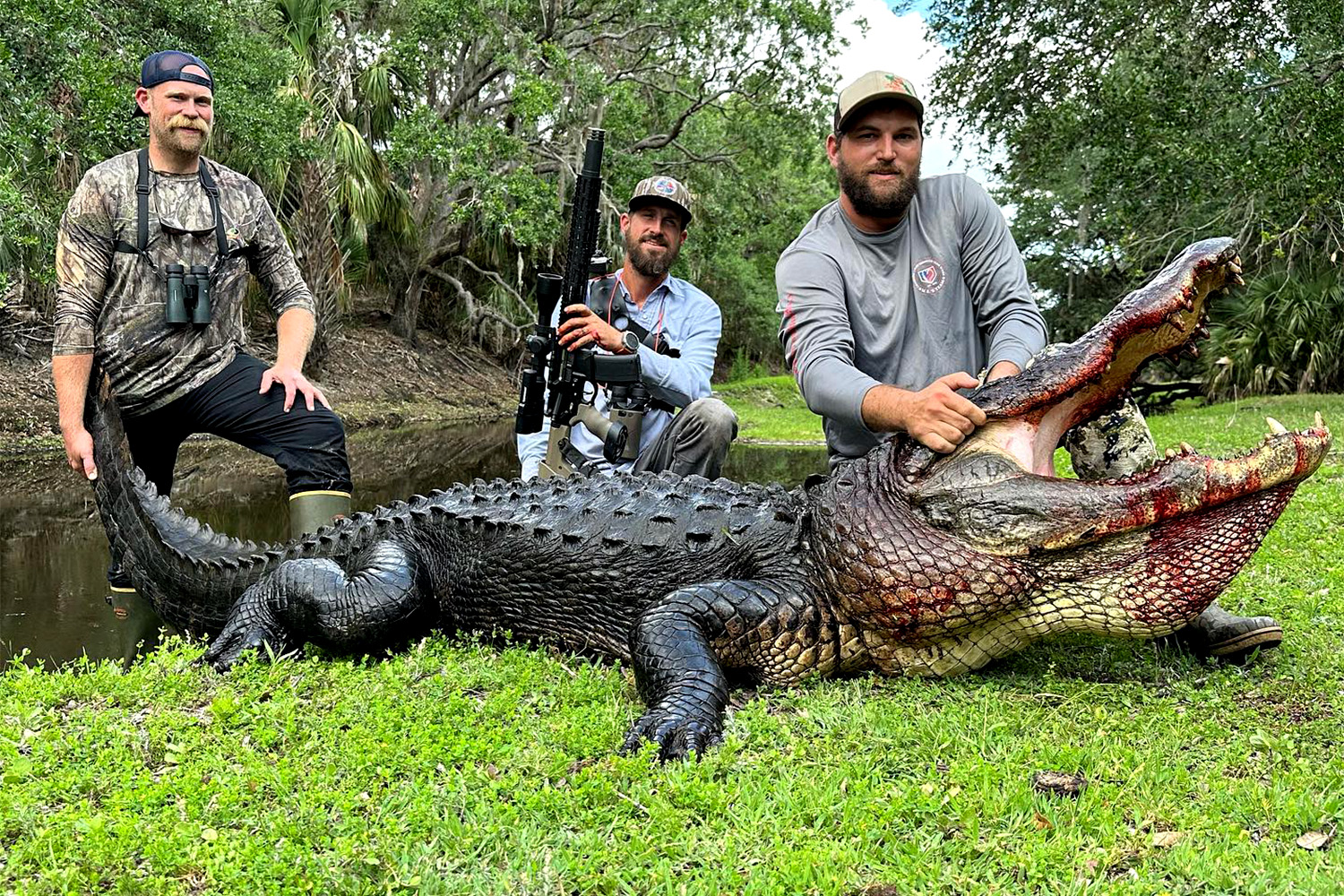 Massive Alligator Killed on South Florida Cattle Ranch