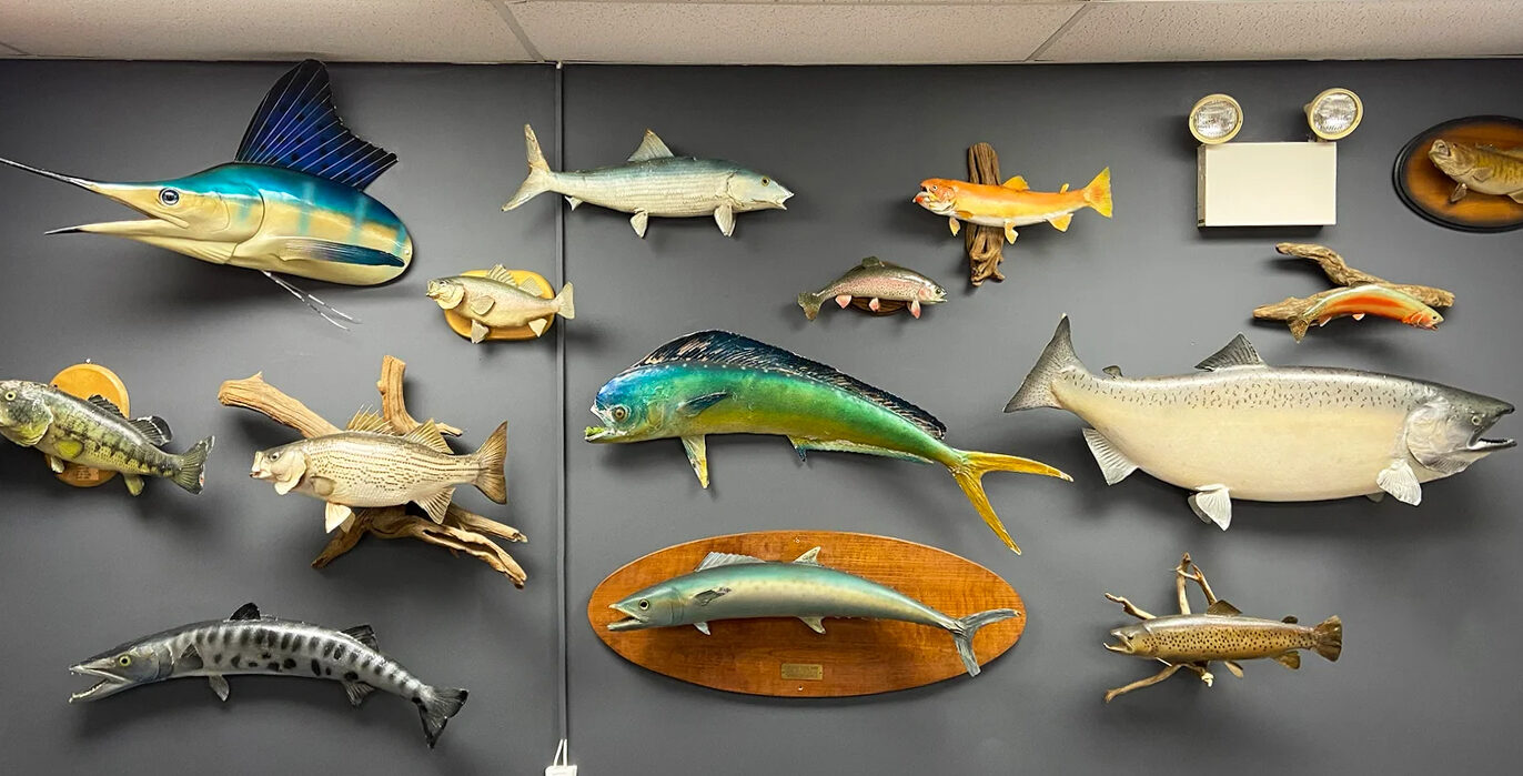 Fish Taxidermy: The 5 Best Ways to Mount Your Catch