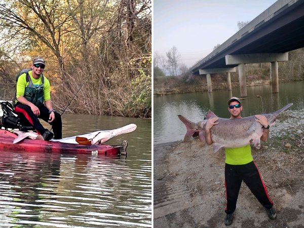 Arkansas Fisherman Lands 102-Pound Paddlefish from a Kayak
