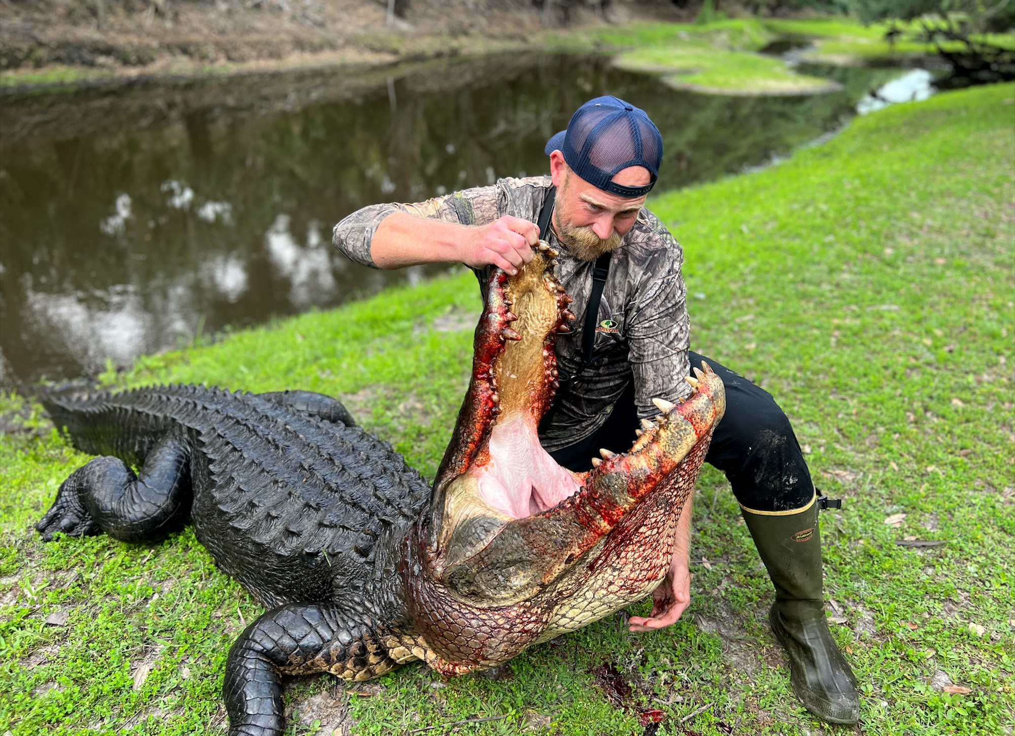 Alligator Recipes from a Florida Chef Outdoor Life