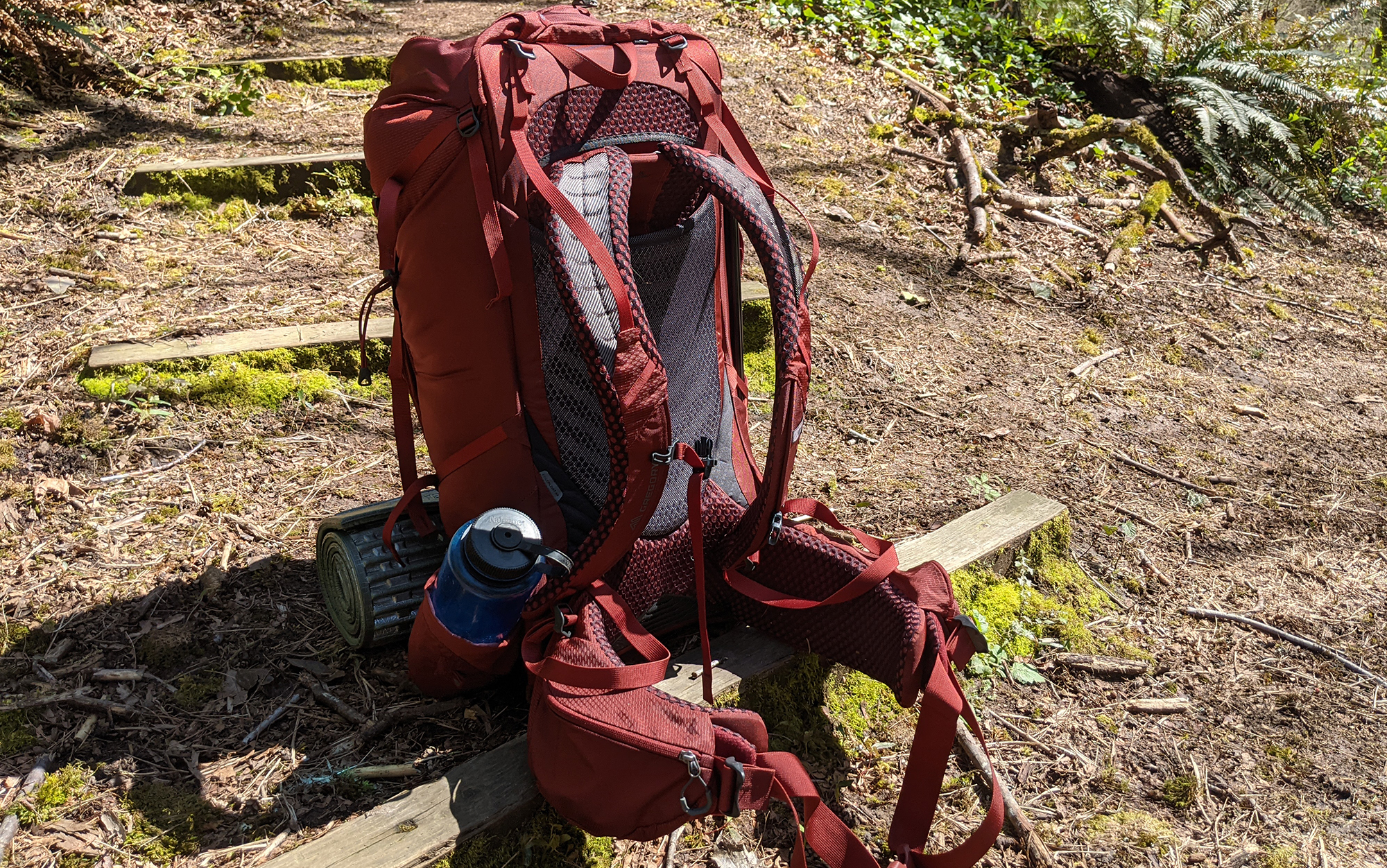 The Gregory Baltoro has a lot of adjustable sizing options.