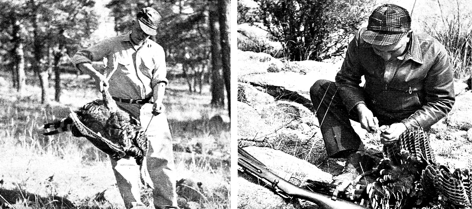 diptych of two old magazine photos showing hunters with their turkeys