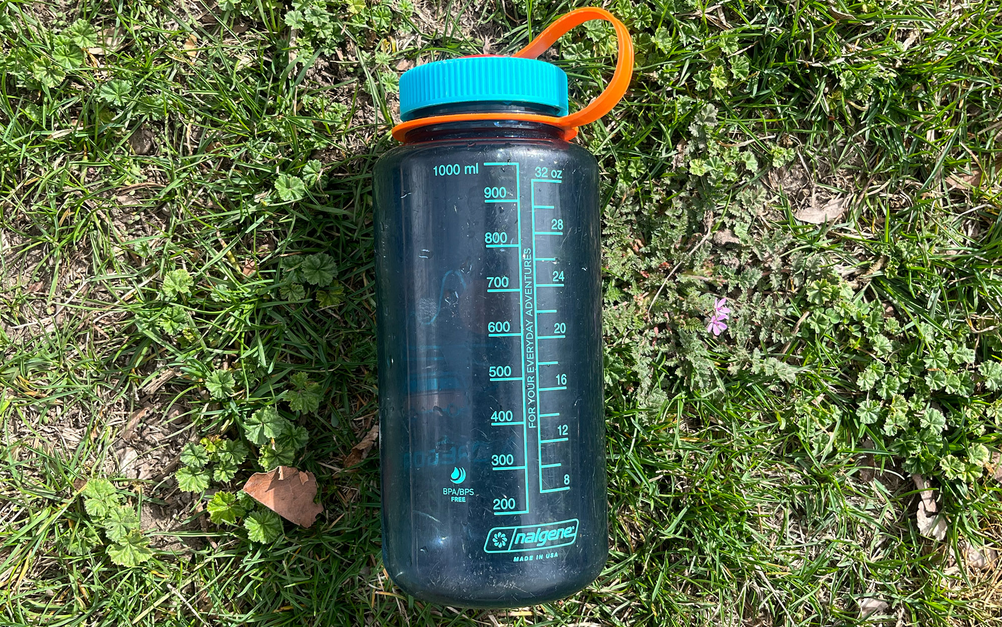 ✓ Best Hiking Water Bottle– Suggested! 