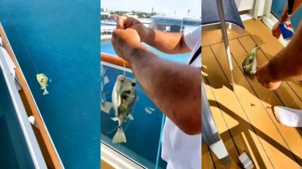 Passengers Who Caught Fish Aboard Carnival Cruise Ship Receive Lifetime Ban
