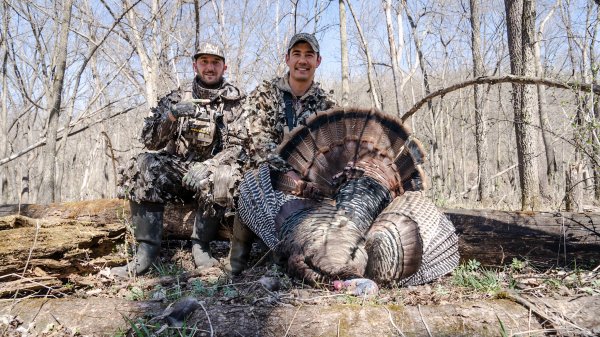 Where to Shoot a Turkey: A Guide to No More Misses