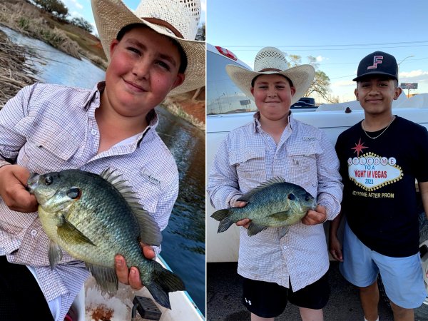 Teen Catches Oklahoma State-Record Redear Sunfish from a Farm Pond After School