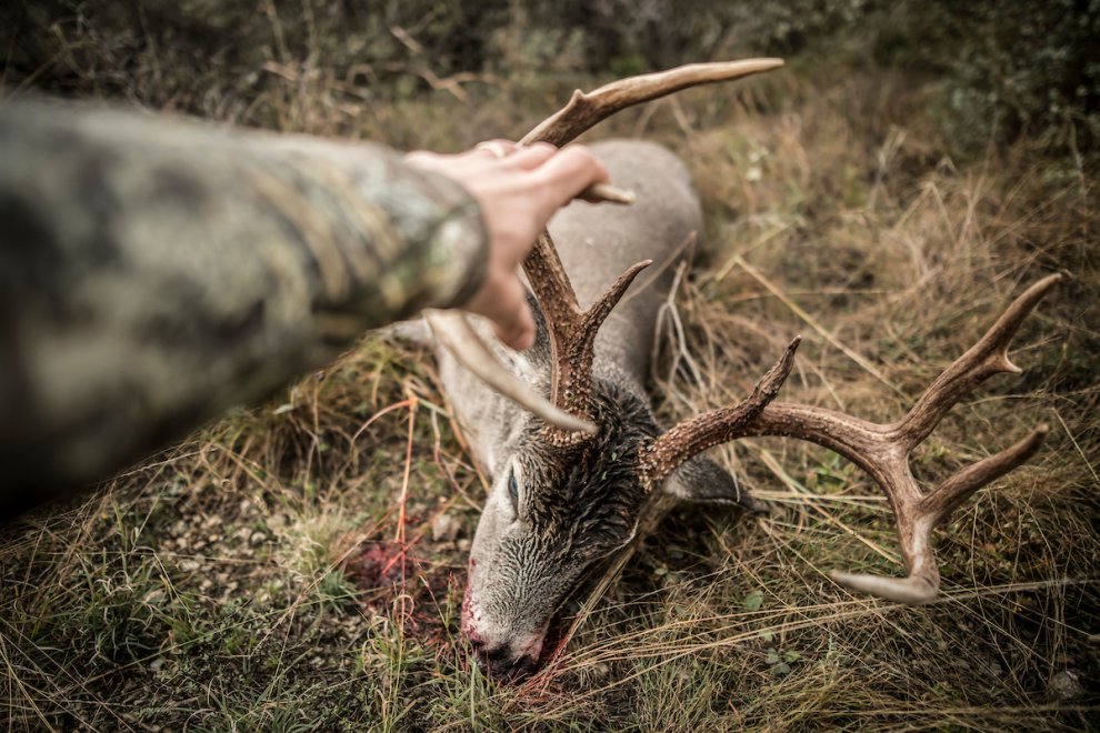 Harvest or Kill? Which Term Hunters Should Use