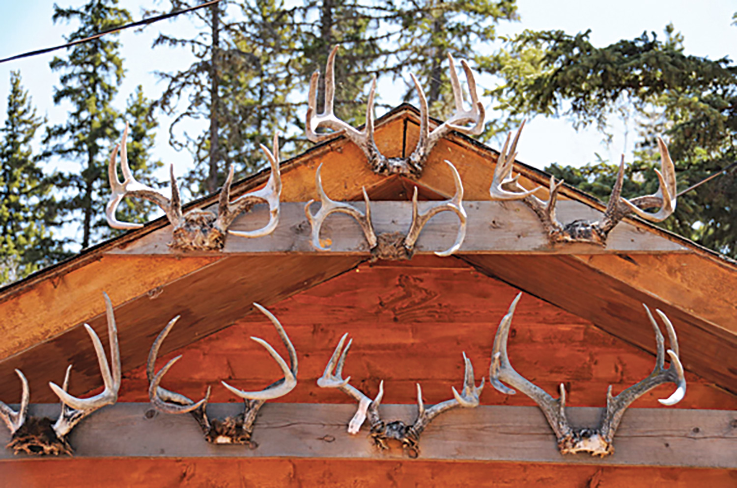 peak of lodge house with a display of whitetail antlers