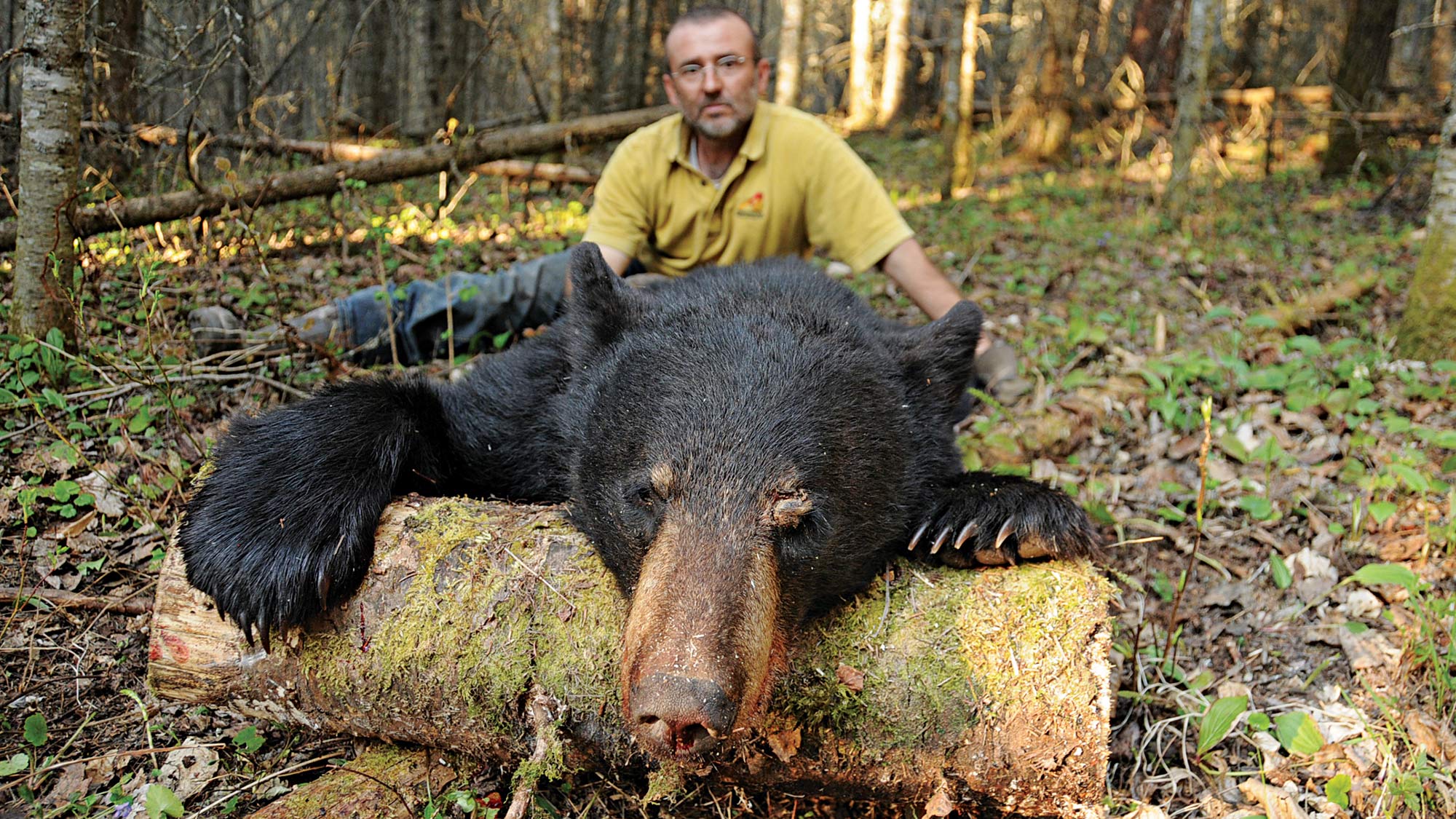 man with black bear carcass