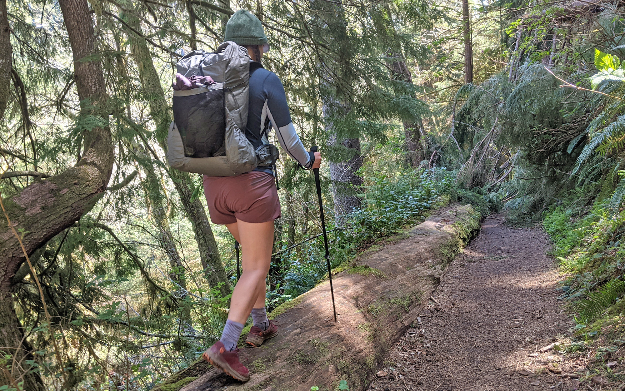 The author uses CMT’s sturdy and reliable value trekking poles to balance on a log.