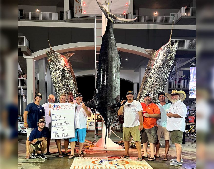 Massive Blue Marlin Breaks 27-Year Record | Outdoor Life