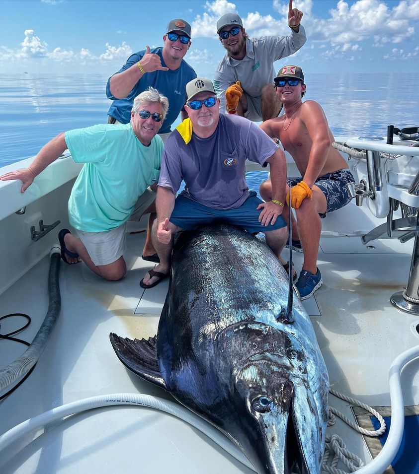 Massive Blue Marlin Breaks 27-Year Record