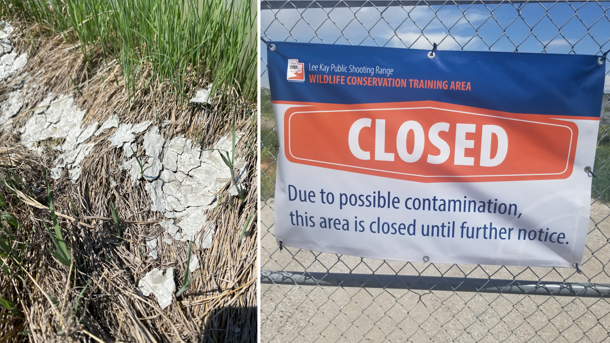 6 Retrievers Die at Field Trial Weekend in Utah Outdoor Life