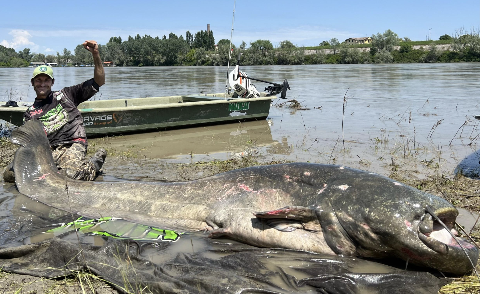 world record wels catfish river po
