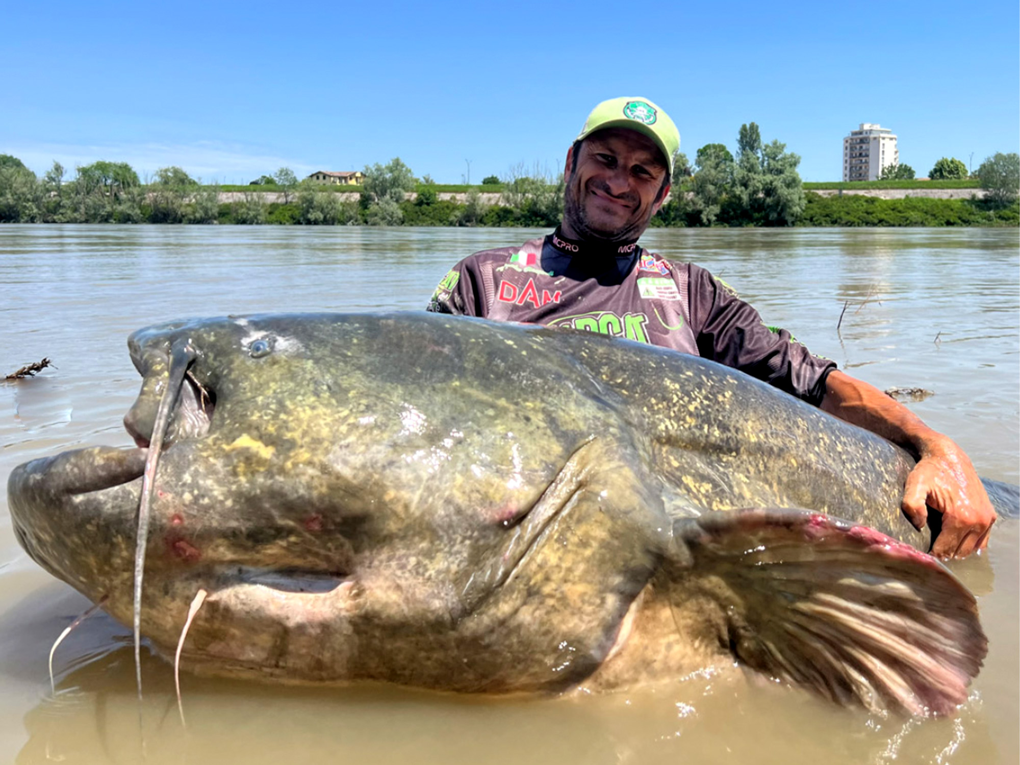 An italian angler with one of the biggest Wels catfish ever caught.