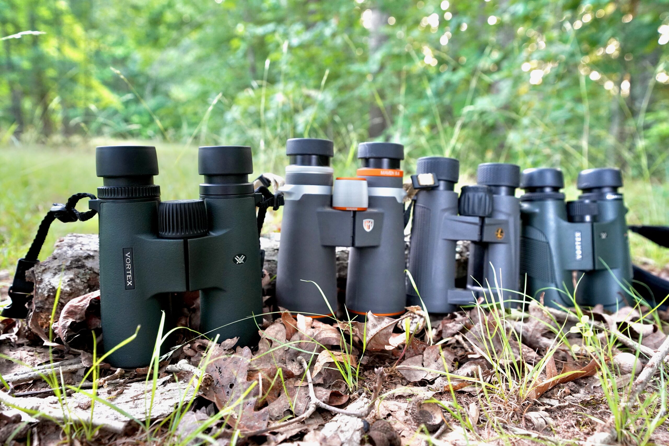 The lineup up budget binoculars in the test