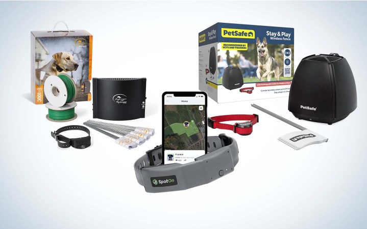 Train Your Dog With D.E. Systems’ Border Patrol TC1