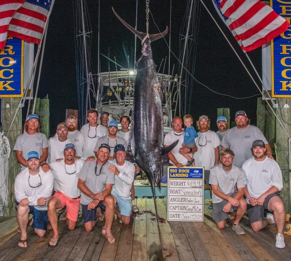 Marlin Catch Disqualified from Tourney Due to Shark “Mutilation.” Costs Anglers $3.5 Million in Winnings