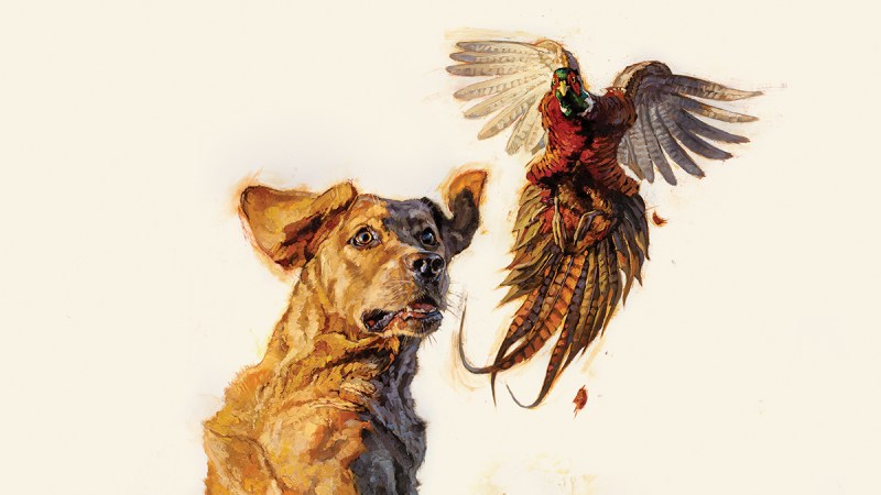 The Wonder Dogs: Tales of Six Incredible Hunting Dogs