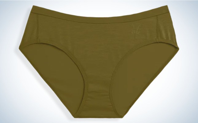 Ibex Women’s Natural Brief are the best overall.